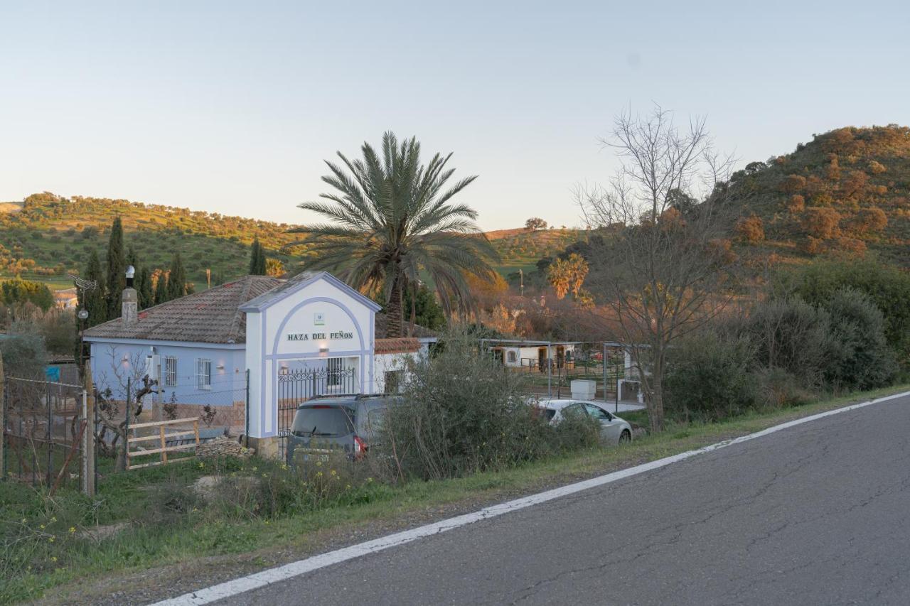 Rural Junto A Via